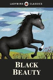 Ladybird Classic Black beauty