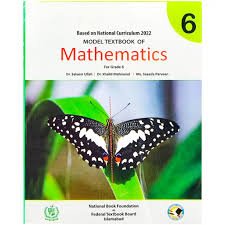 NBF Mathematics Book 6
