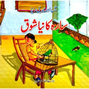 Te Sara ka Naya Shouq